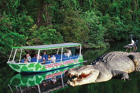 Daintree River Cruise - New Castle Holiday 0