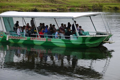 Daintree River Cruise - New Castle Holiday 2