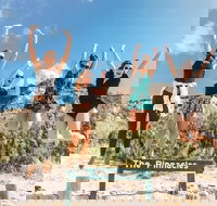 2-Day Fraser Island 4WD Adventure Tour Departing Rainbow Beach - New Castle Holiday