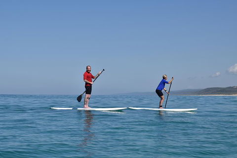 Stand Up Paddle Double Island Lesson - New Castle Holiday 9