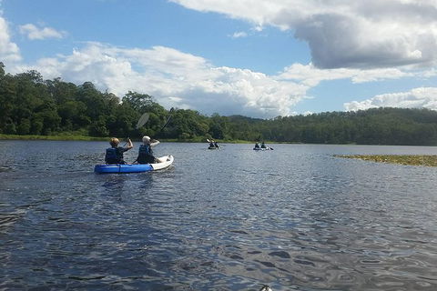 Walkabout Creek Kayak Hire - New Castle Holiday 1