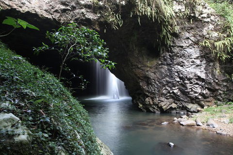 Small-Group 4WD Springbrook National Park Day Trip From Brisbane - New Castle Holiday 0