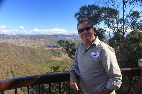 Small-Group 4WD Springbrook National Park Day Trip From Brisbane - New Castle Holiday 7