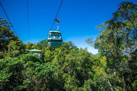 Kuranda Scenic Railway Day Trip From Palm Cove - New Castle Holiday 1