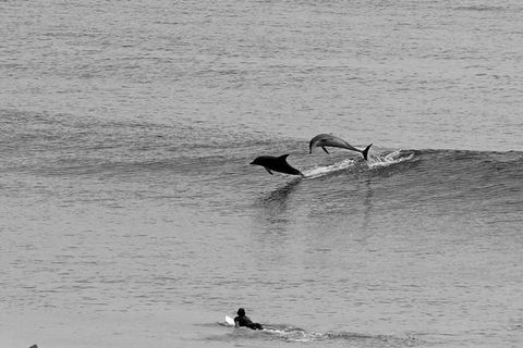 Overnight Tweed Coast Camping And Surfing Getaway From The Gold Coast - New Castle Holiday 0