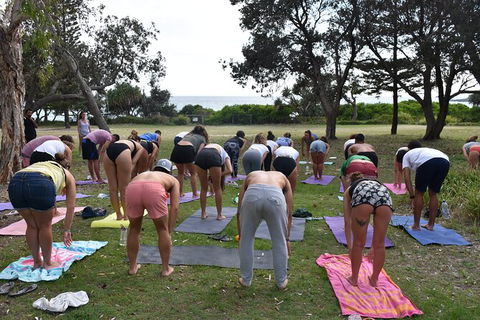 Overnight Tweed Coast Camping And Surfing Getaway From The Gold Coast - New Castle Holiday 4