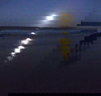 Full Moon Horse Ride at Rainbow Beach - New Castle Holiday