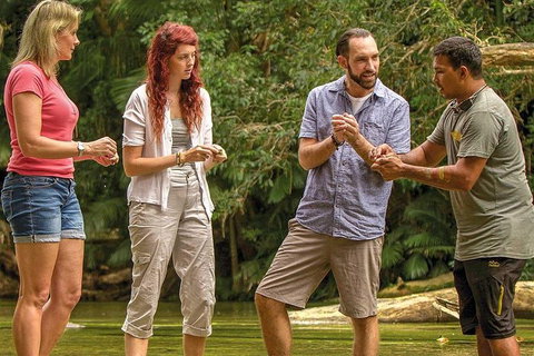 Sightseeing Tour - Half Day - New Castle Holiday 4