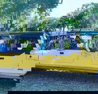 3.5 hour Eco Tour - New Castle Holiday