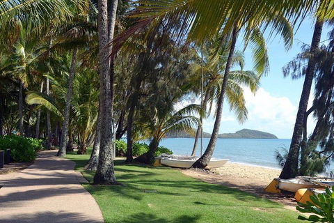 Palm Cove, Clifton Beach, Kewarra Beach To/from Cairns - New Castle Holiday 0