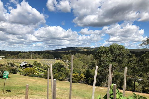 Sirromet Winery All Inclusive Lunch @ Lurleens, Tour, Tastings And Transfers - New Castle Holiday 4