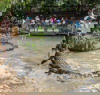 Hartley's Crocodile Adventures General Entry Ticket - New Castle Holiday