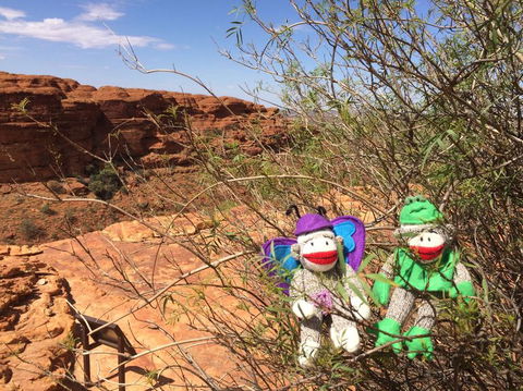 Kings Canyon Day Trip From Ayers Rock - New Castle Holiday 23