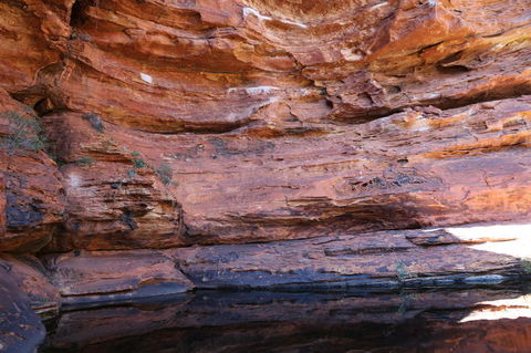 Kings Canyon Day Trip From Ayers Rock - New Castle Holiday 16
