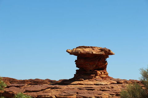 Kings Canyon Day Trip From Ayers Rock - New Castle Holiday 17