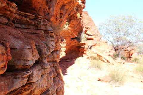 Kings Canyon Day Trip From Ayers Rock - New Castle Holiday 20