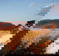 Uluru Ayers Rock Sunset with Outback Barbecue Dinner and Star Tour - New Castle Holiday