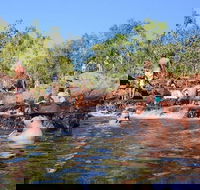 Litchfield and Jumping Crocodiles Full Day Trip from Darwin - New Castle Holiday