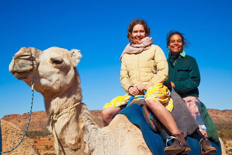 Alice Springs Camel Tour - New Castle Holiday 8