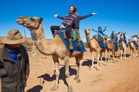 Alice Springs Camel Tour - New Castle Holiday 7