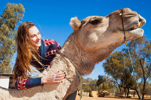 Alice Springs Camel Tour - New Castle Holiday 6