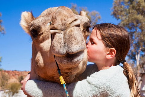 Alice Springs Camel Tour - New Castle Holiday 2