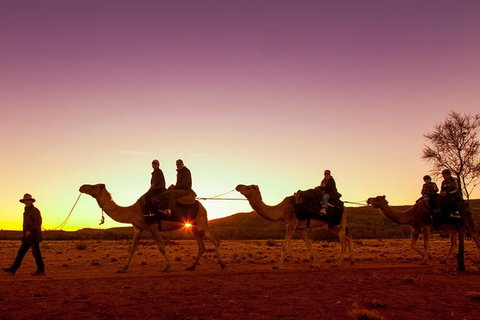 Alice Springs Camel Tour - New Castle Holiday 4