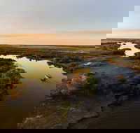 1 Day Corroboree Billabong Wetland Experience including 2.5 hour cruise  lunch - New Castle Holiday