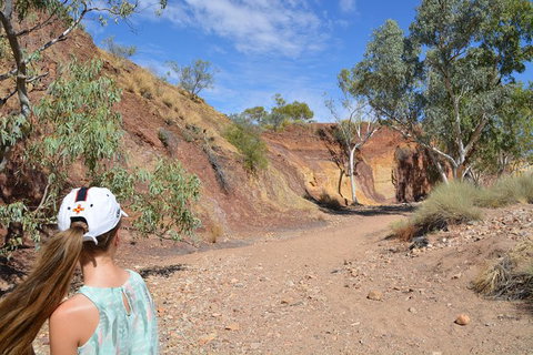 West MacDonnell Ranges Small-Group Full-Day Guided Tour - New Castle Holiday 2