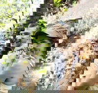 Small-Group Litchfield National Park Day Trip from Darwin - New Castle Holiday