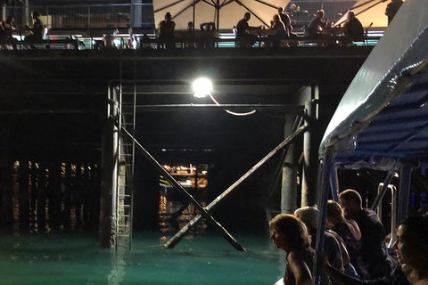 Darwin Sunset Cruise, Including Fish \'n\' Chips - New Castle Holiday 8