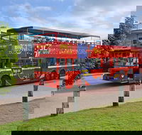 Darwin Shore Excursion Hop-on Hop-off Bus Tour - New Castle Holiday