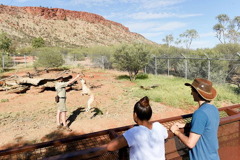Alice Springs Desert Park General Entry Ticket - New Castle Holiday 9
