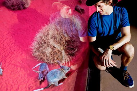 Alice Springs Desert Park General Entry Ticket - New Castle Holiday 6