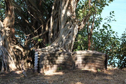 Darwin Walking Tour: World War II Reflections - New Castle Holiday 6