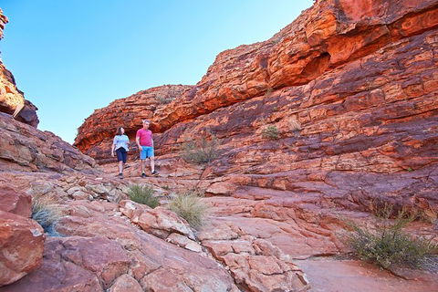 Coach Transfer From Kings Canyon To Alice Springs - New Castle Holiday 4