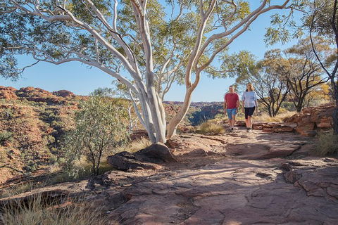 Coach Transfer From Kings Canyon To Alice Springs - New Castle Holiday 8