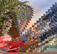 Australia Sightseeing Pass - New Castle Holiday