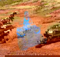 Aussie Outback Air and Land Tour Including Quad Bike Ride - New Castle Holiday