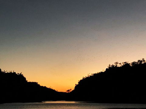 Nitmiluk (Katherine) Gorge 3.5-Hour Sunset Dinner Boat Tour - New Castle Holiday 9
