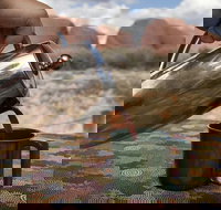 Kata Tjuta Small-Group Tour Including Sunrise and Breakfast - New Castle Holiday