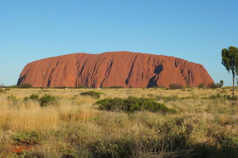 Overnight Uluru (Ayers Rock) Small-Group Camping Tour - New Castle Holiday 8