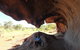 Overnight Uluru (Ayers Rock) Small-Group Camping Tour - thumb 5