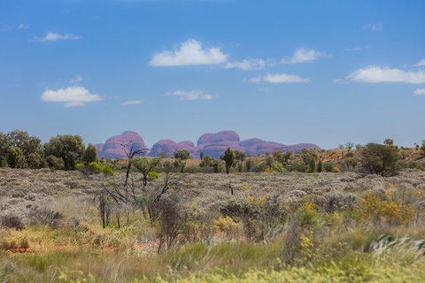 Overnight Uluru (Ayers Rock) Small-Group Camping Tour - New Castle Holiday 15