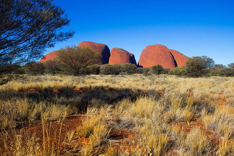 Kata Tjuta Sunrise And Valley Of The Winds Half-Day Trip - New Castle Holiday 11