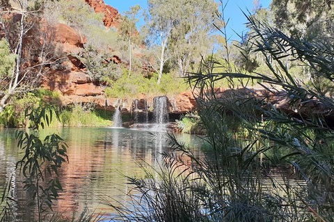 20 Day Darwin To Perth Adventure - New Castle Holiday 10