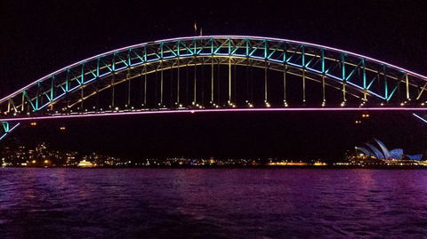 Sydney Harbour Dinner Cruise - New Castle Holiday 13