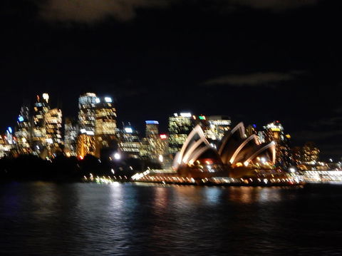 Sydney Harbour Dinner Cruise - New Castle Holiday 4