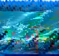 SEA LIFE Sydney Aquarium Entrance Ticket - New Castle Holiday