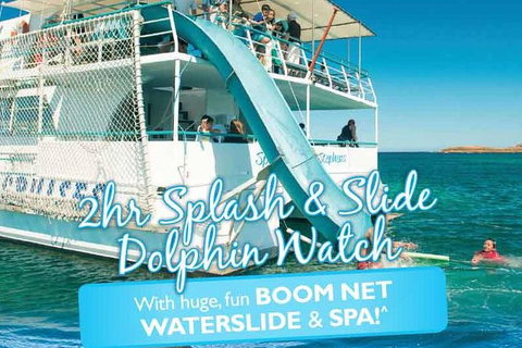 Port Stephens Dolphin Watching Cruise Including Splash And Slide - New Castle Holiday 0
